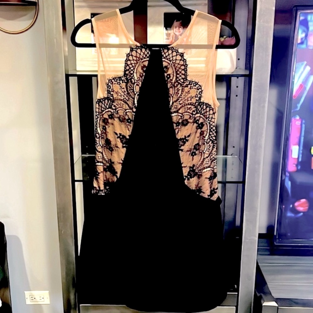 🤍BCBGMaxAzria Size 4 mesh shift dress🤍